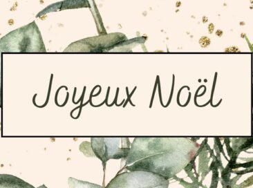 Nos Formules de Noël sont arrivées !