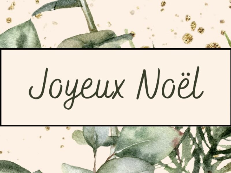 Nos Formules de Noël sont arrivées !